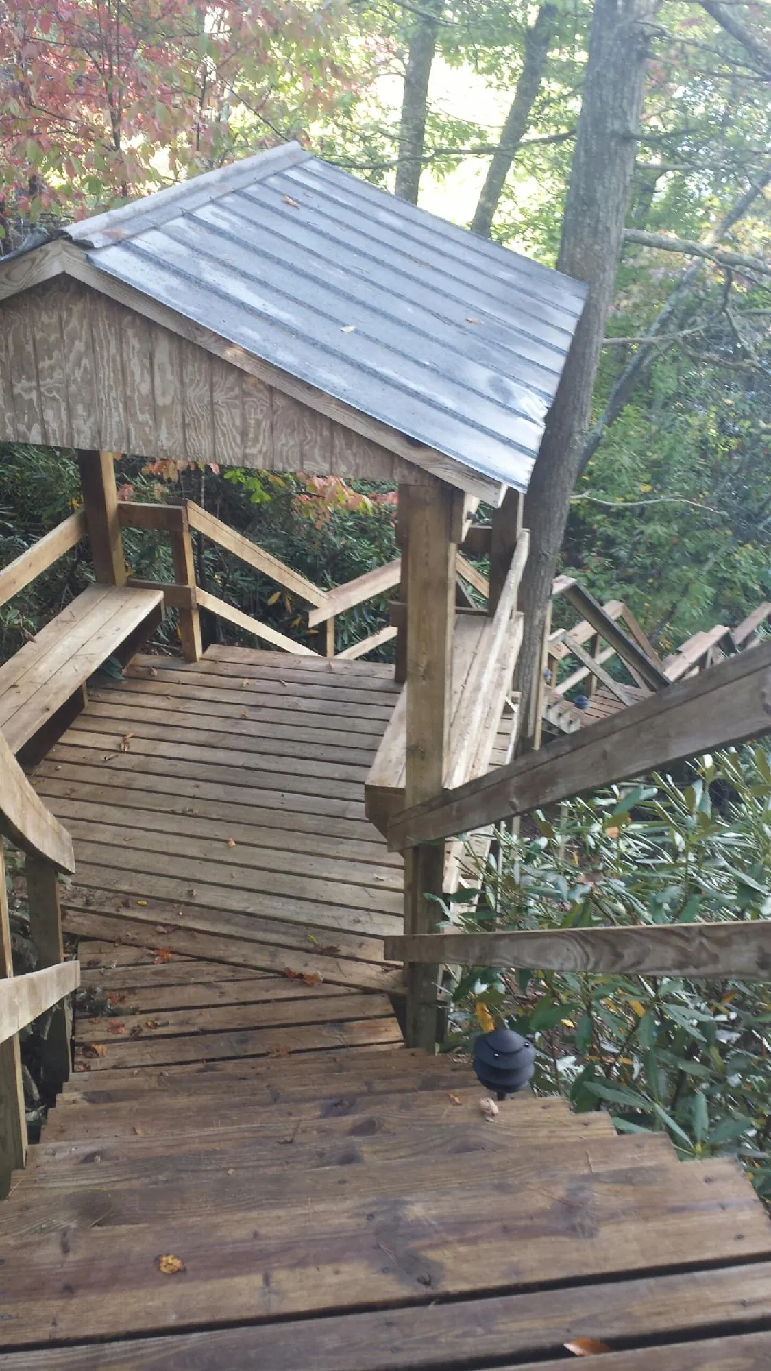 Metal roofed shelter over wooden steps on a wooded walkway — Skylight Repair & Installation work by our crew in Pledger