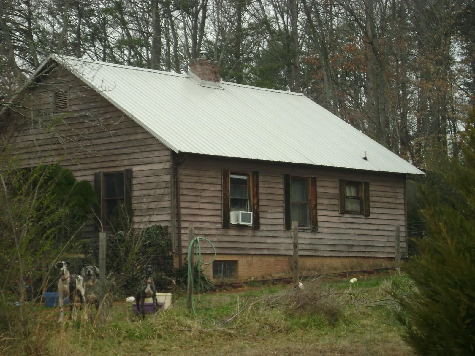 White metal roof on an old wood sided farmhouse, from a Asphalt Shingle Roof Repair job in Pledger